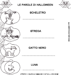 Pregrafismo Maestra Gemma
