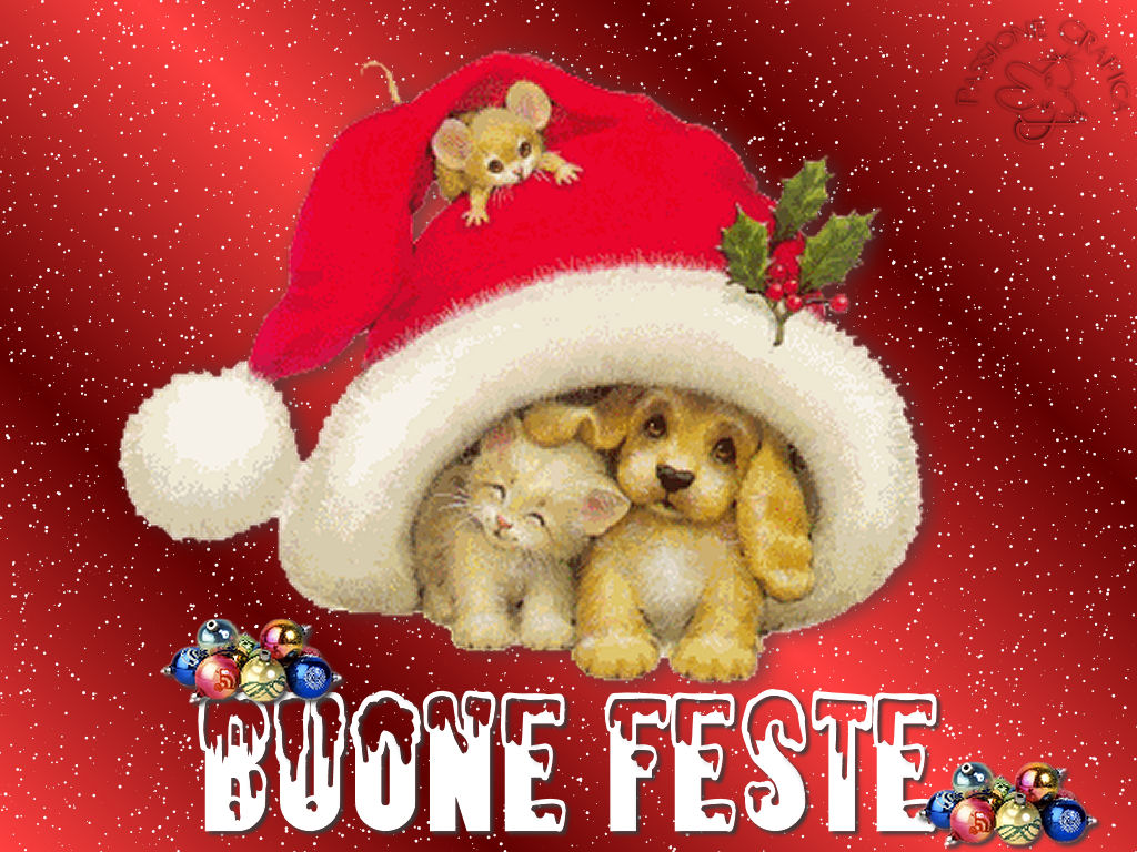 natale61024x768ej7