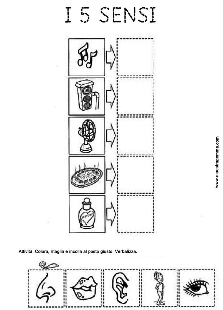 Schede Sensi